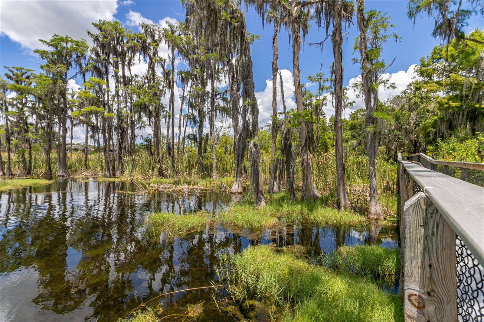 8351 BOWDEN WAY, WINDERMERE, FL, 34786
