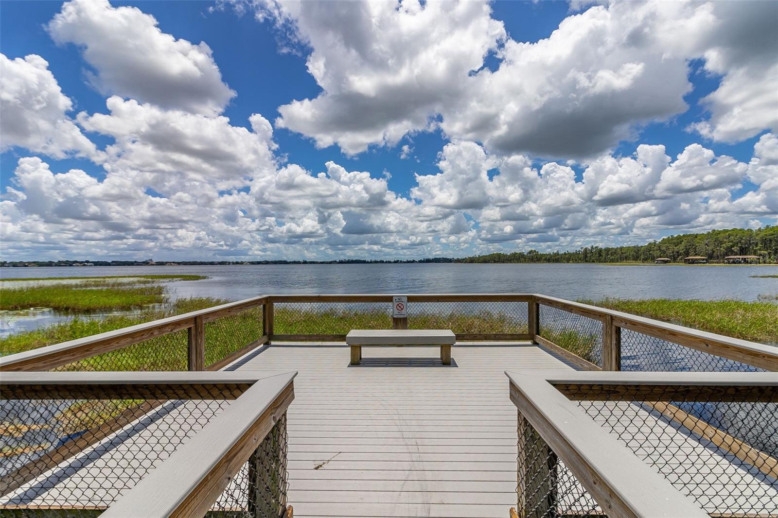 8351 BOWDEN WAY, WINDERMERE, FL, 34786