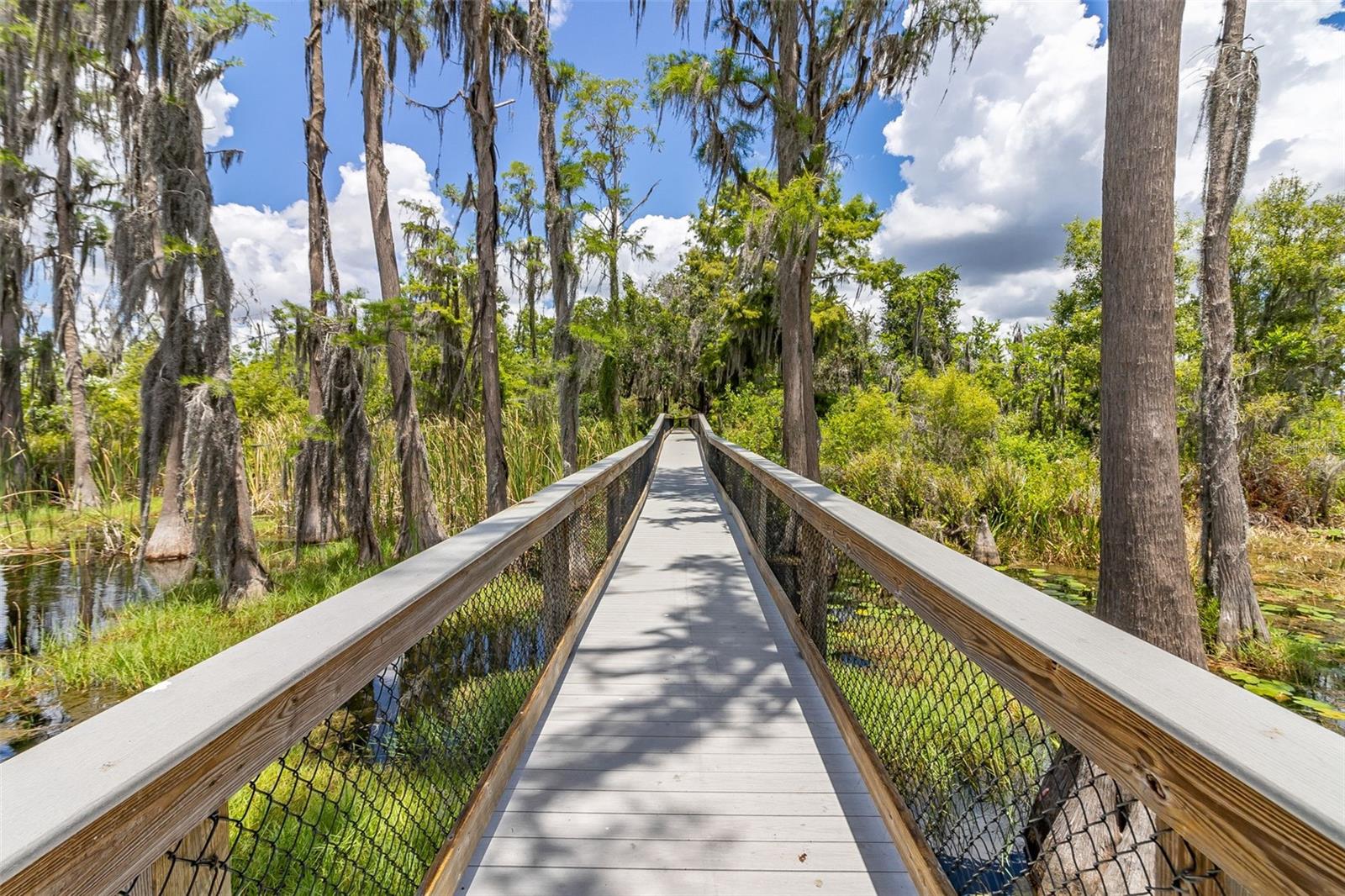 8351 BOWDEN WAY, WINDERMERE, FL, 34786