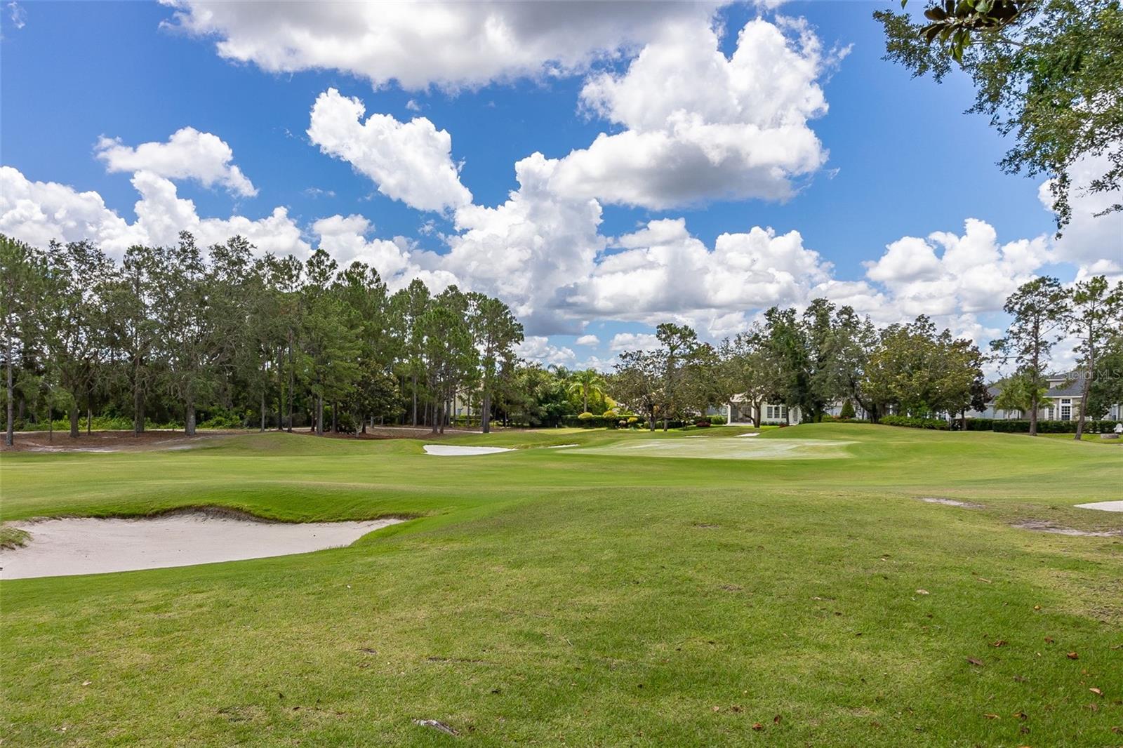 8351 BOWDEN WAY, WINDERMERE, FL, 34786