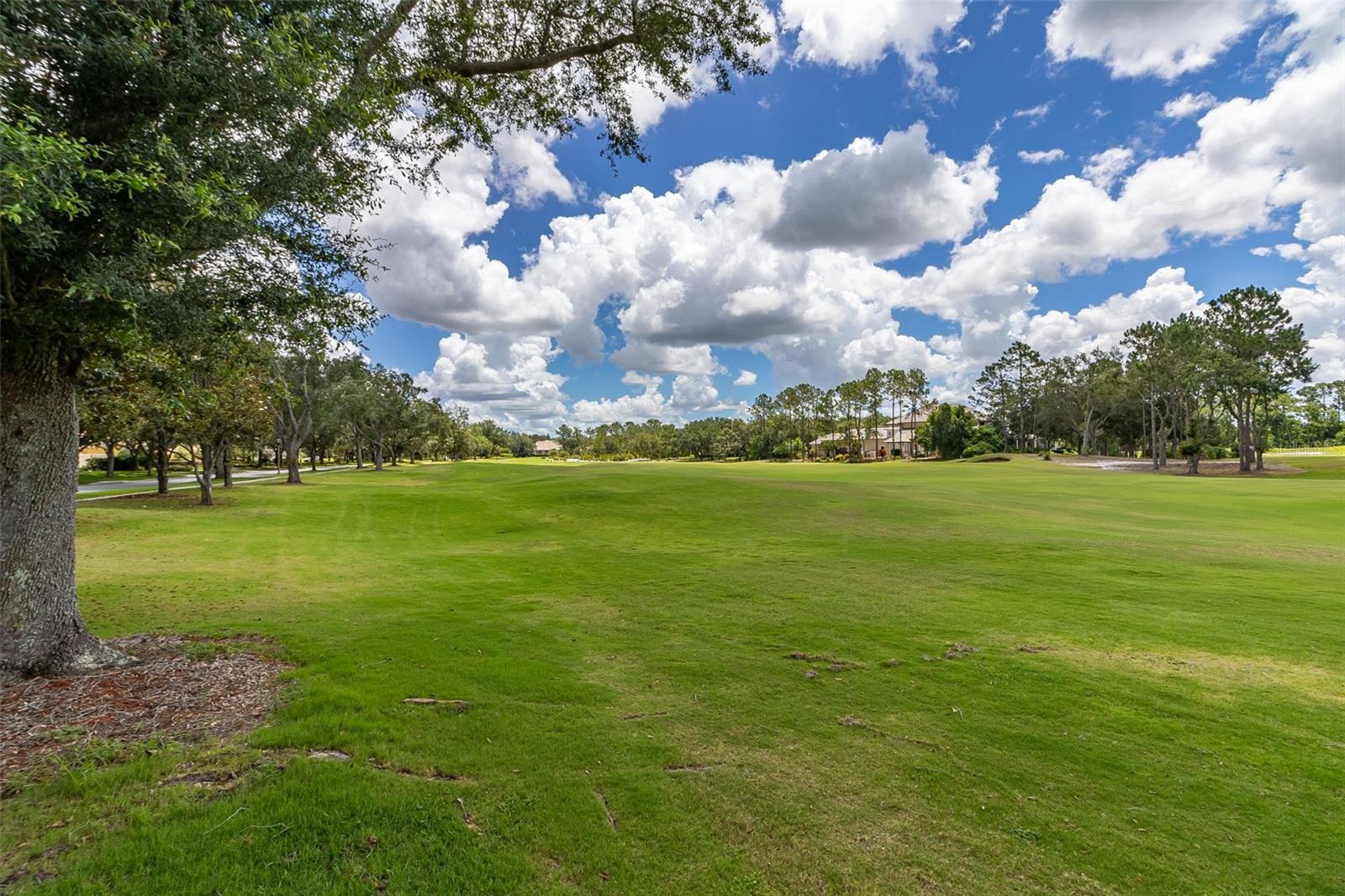 8351 BOWDEN WAY, WINDERMERE, FL, 34786