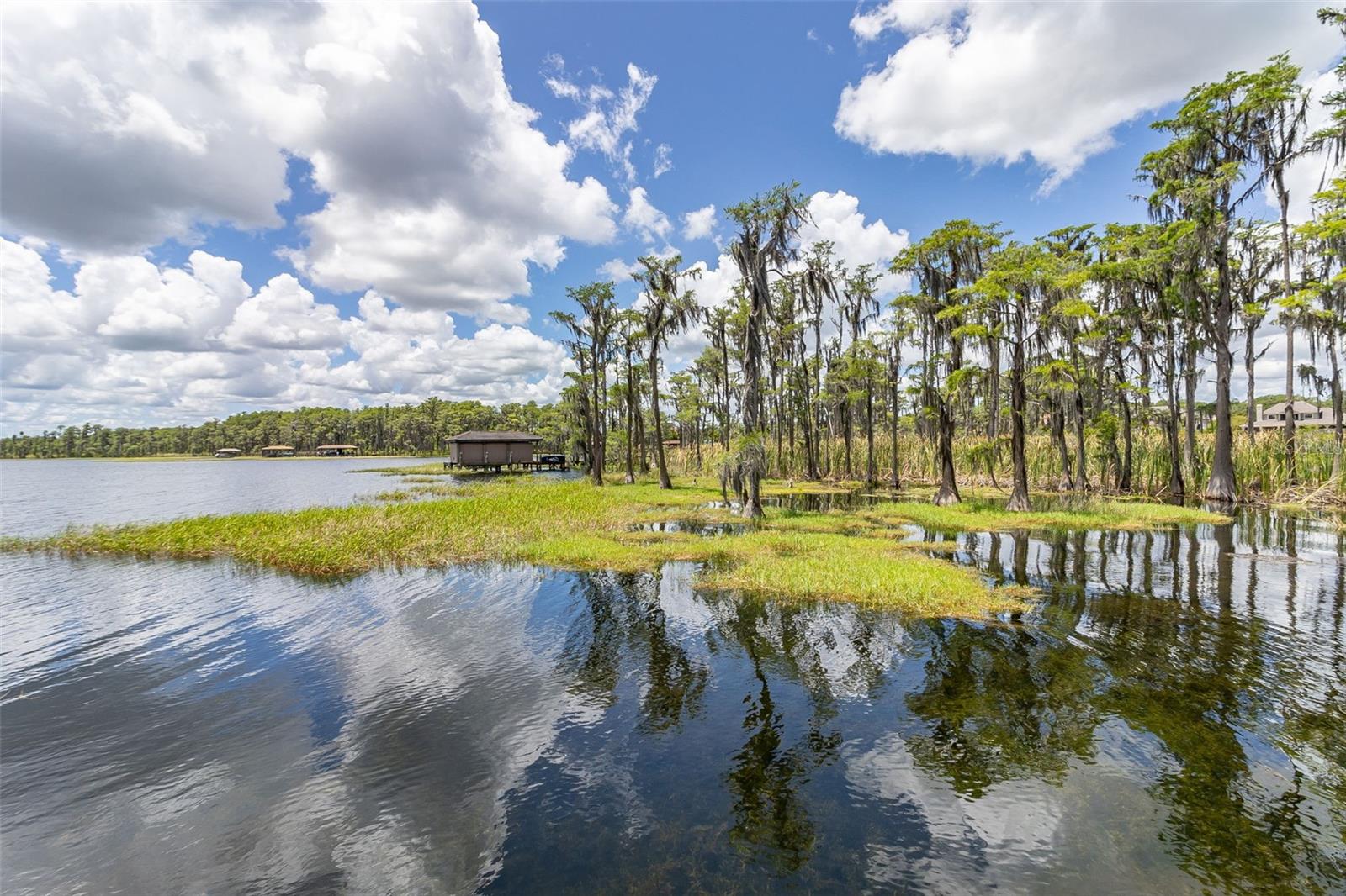 8351 BOWDEN WAY, WINDERMERE, FL, 34786