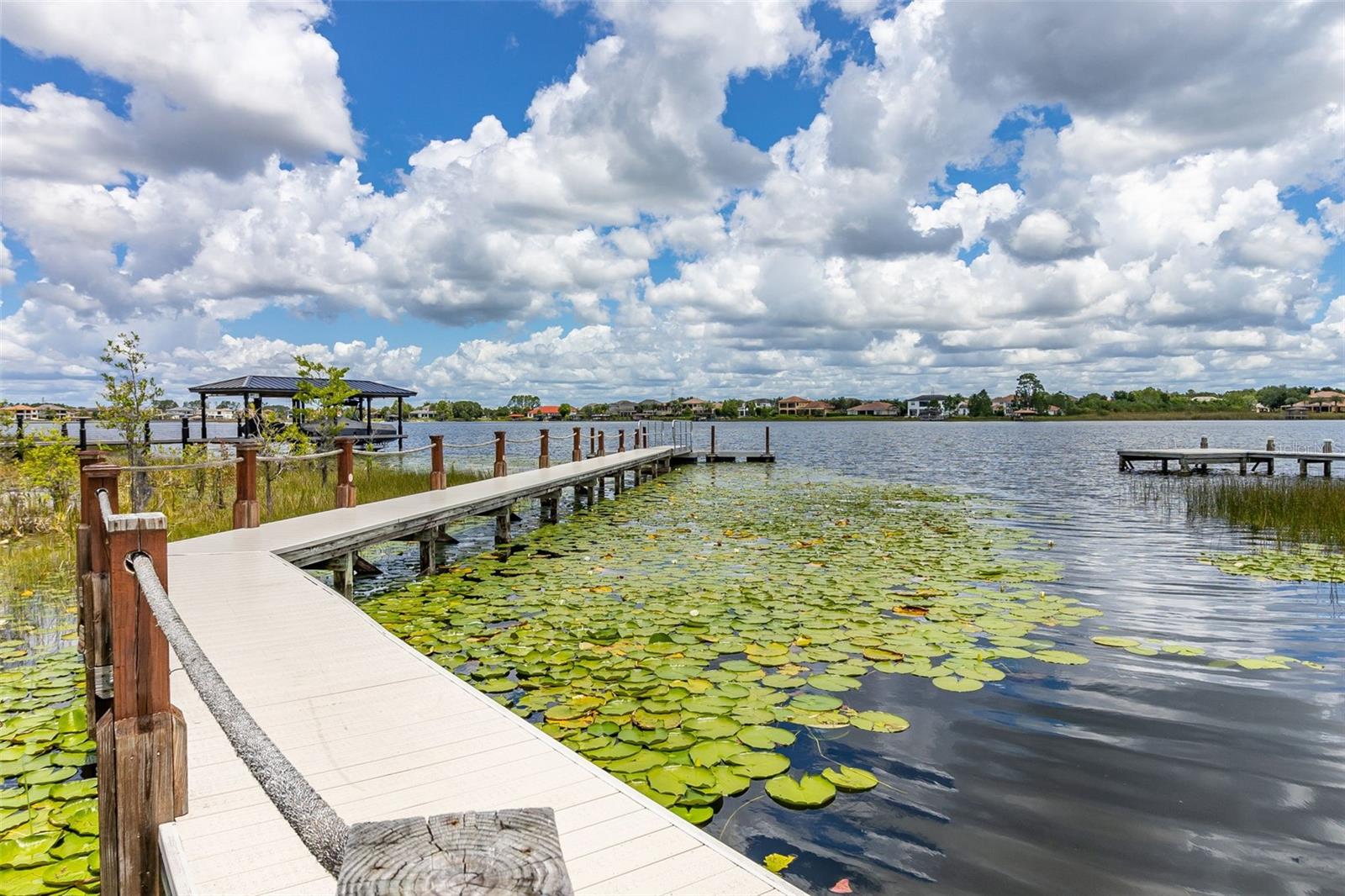 8351 BOWDEN WAY, WINDERMERE, FL, 34786