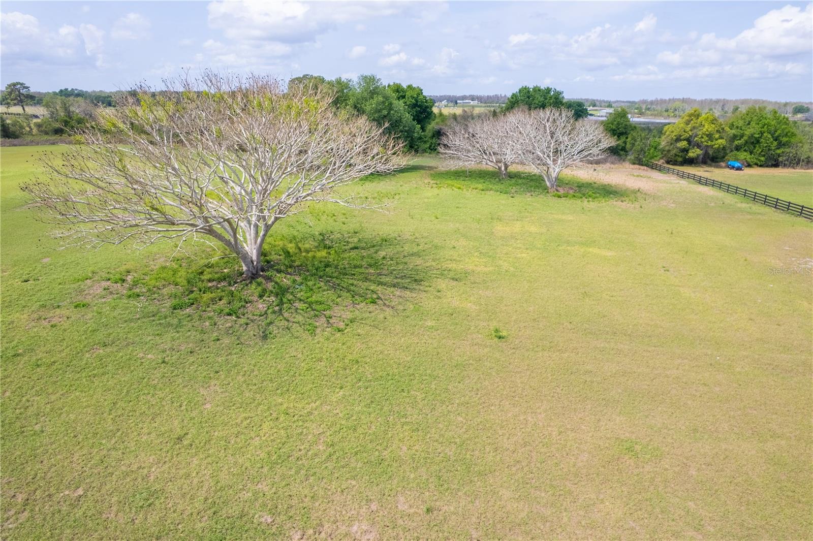 6017 PRETTY RANCH RD, GROVELAND, FL, 34736