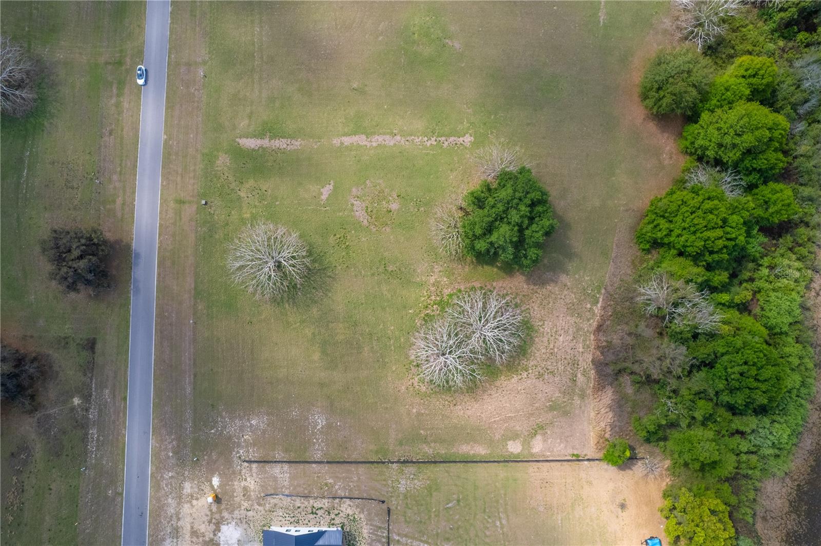 6017 PRETTY RANCH RD, GROVELAND, FL, 34736