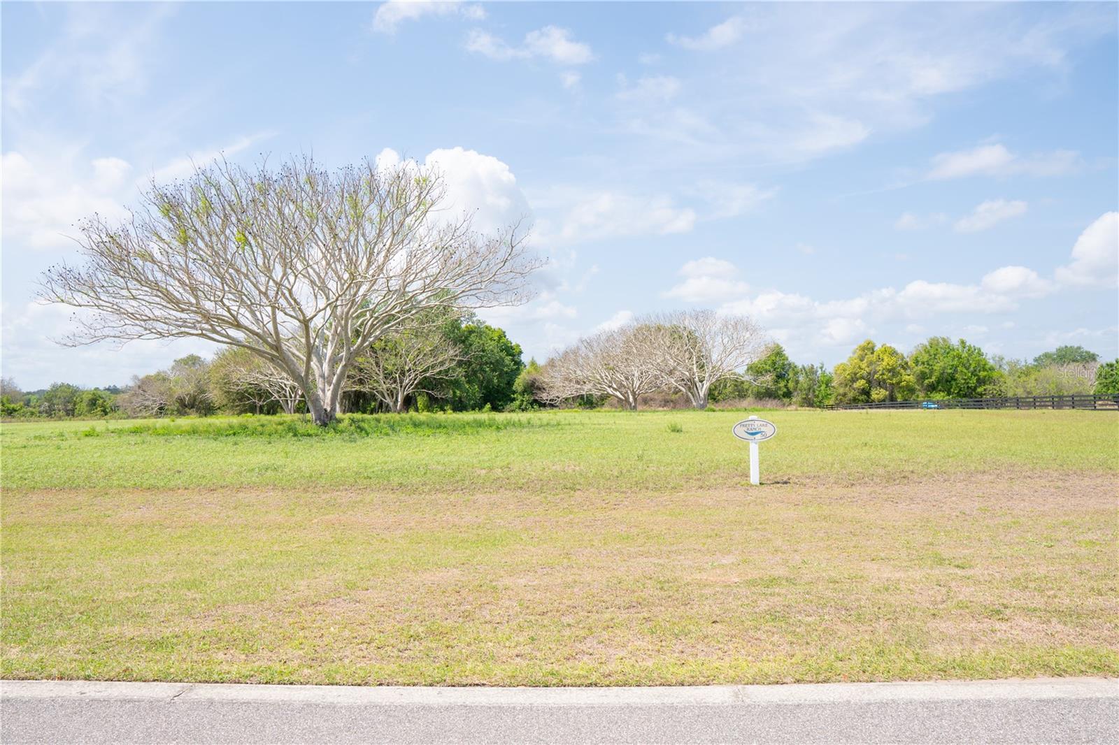 6017 PRETTY RANCH RD, GROVELAND, FL, 34736