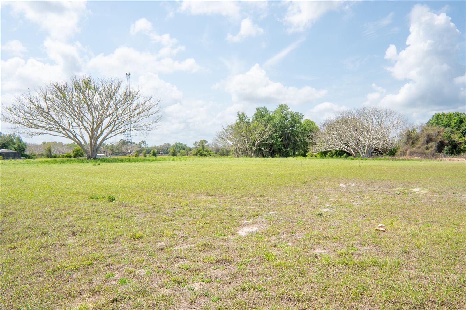 6017 PRETTY RANCH RD, GROVELAND, FL, 34736