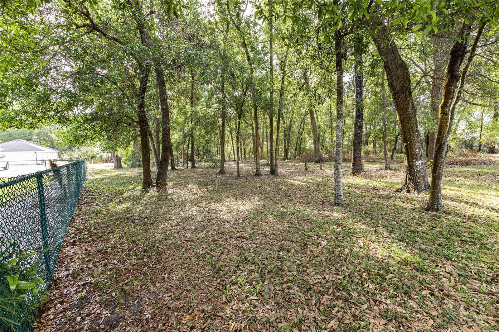 TBD SE 83RD CT, SUMMERFIELD, FL, 34491