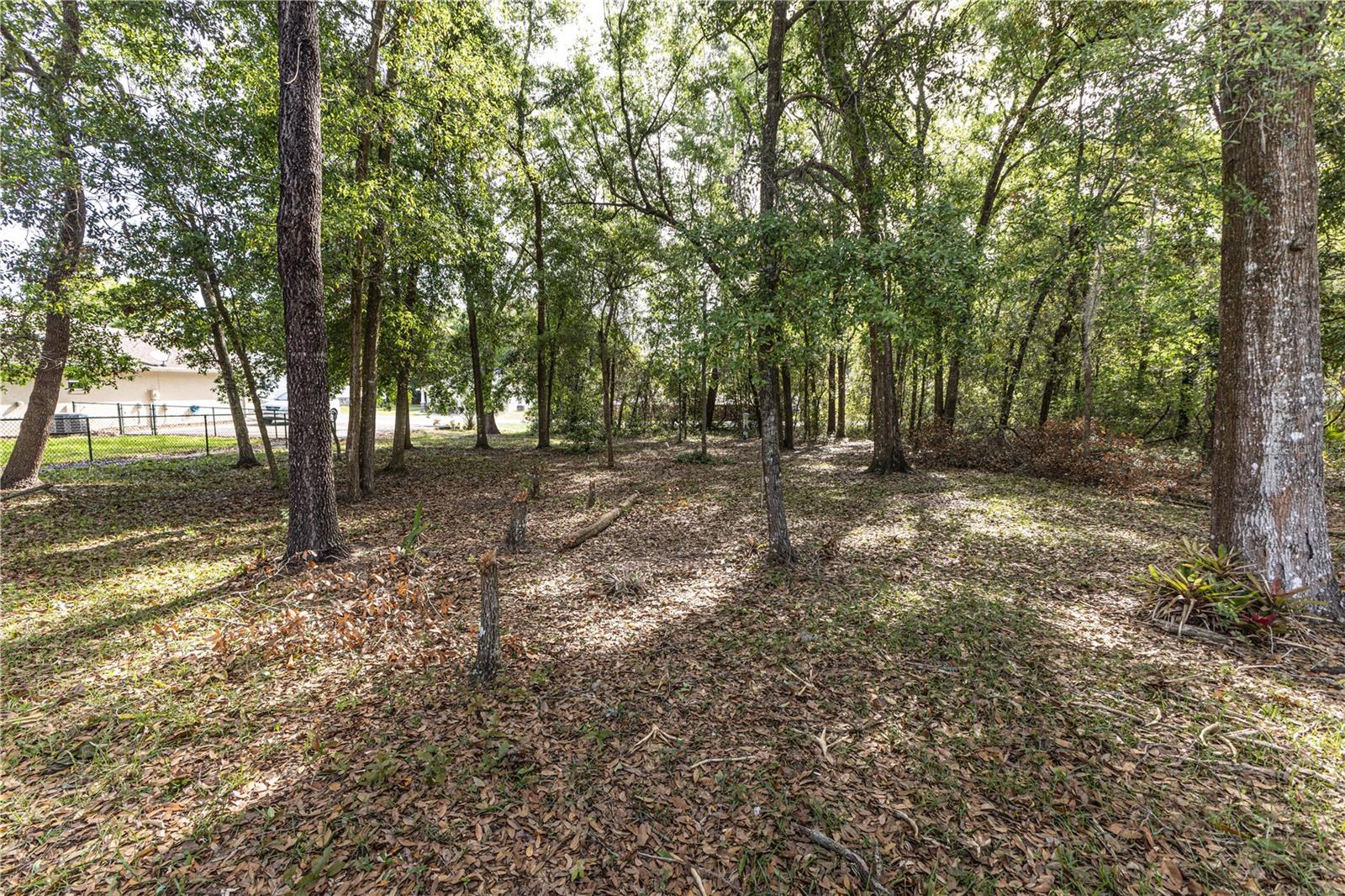 TBD SE 83RD CT, SUMMERFIELD, FL, 34491