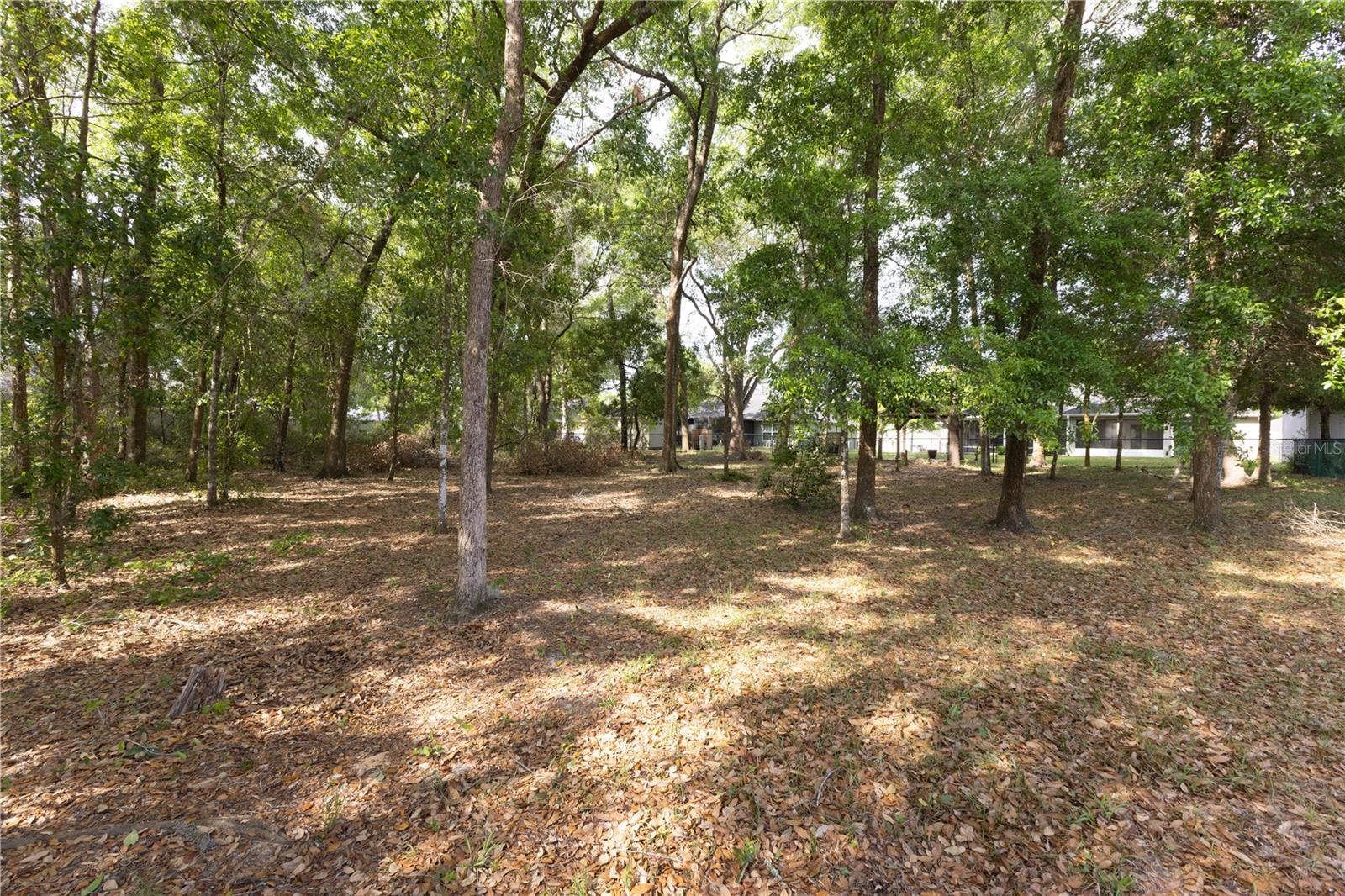 TBD SE 83RD CT, SUMMERFIELD, FL, 34491