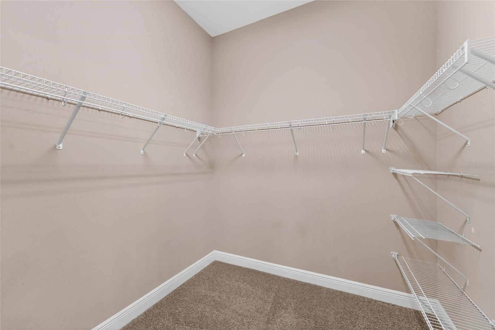 15921 PERSIMMON GROVE DR, LITHIA, FL, 33547