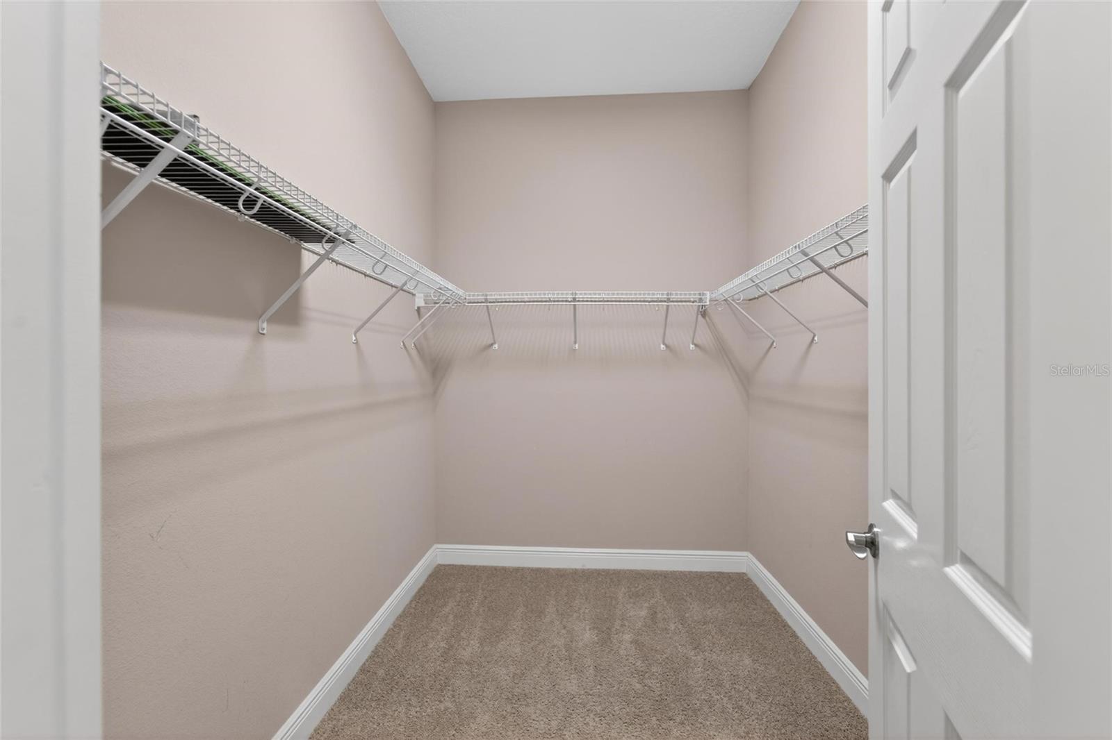 15921 PERSIMMON GROVE DR, LITHIA, FL, 33547