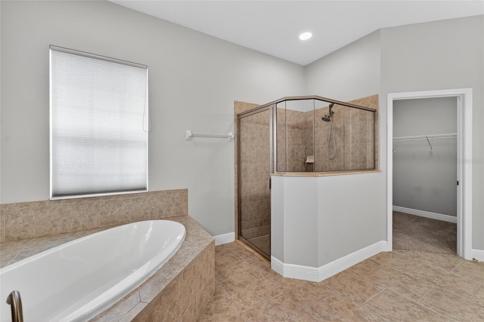 15921 PERSIMMON GROVE DR, LITHIA, FL, 33547