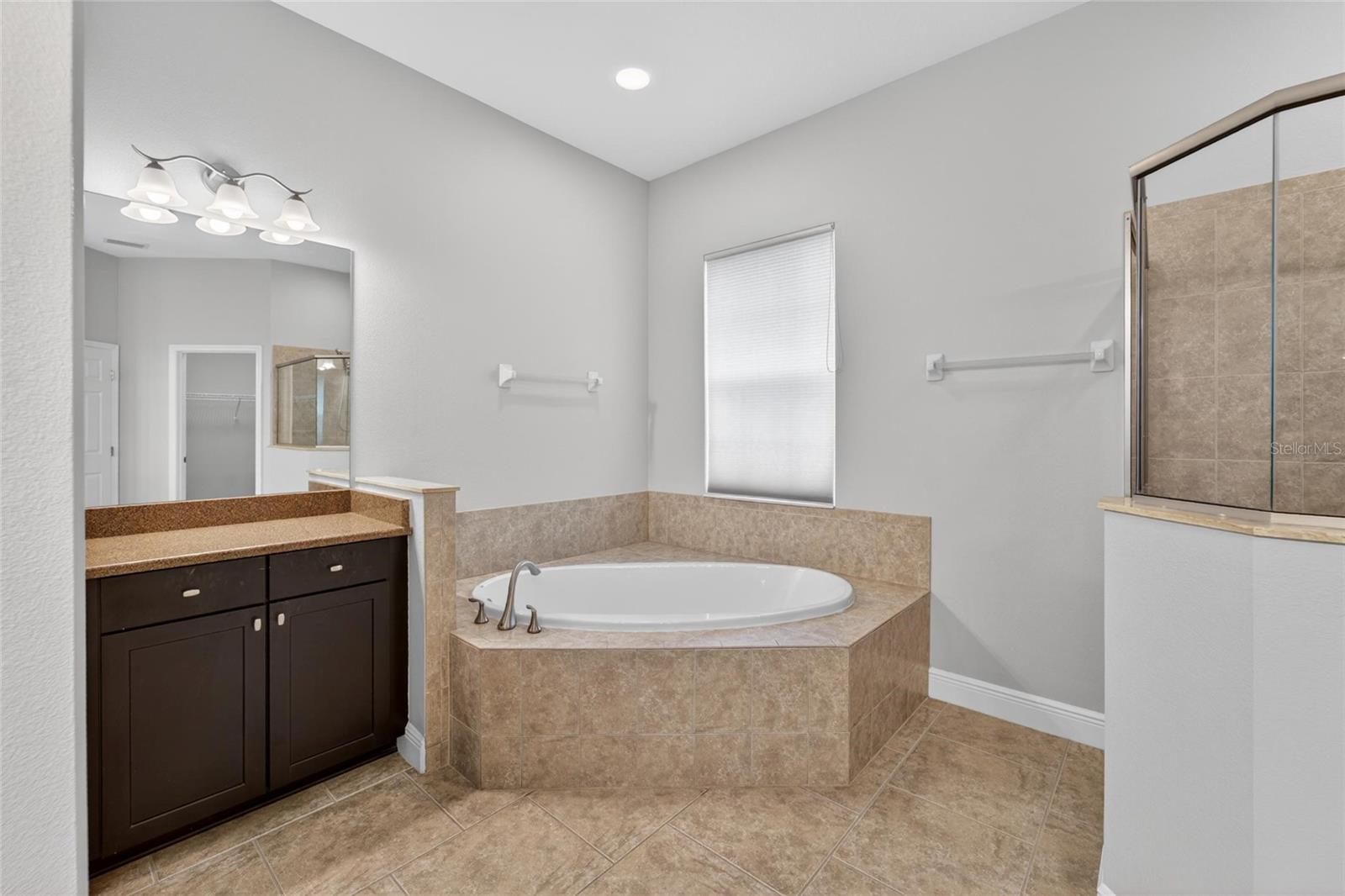 15921 PERSIMMON GROVE DR, LITHIA, FL, 33547