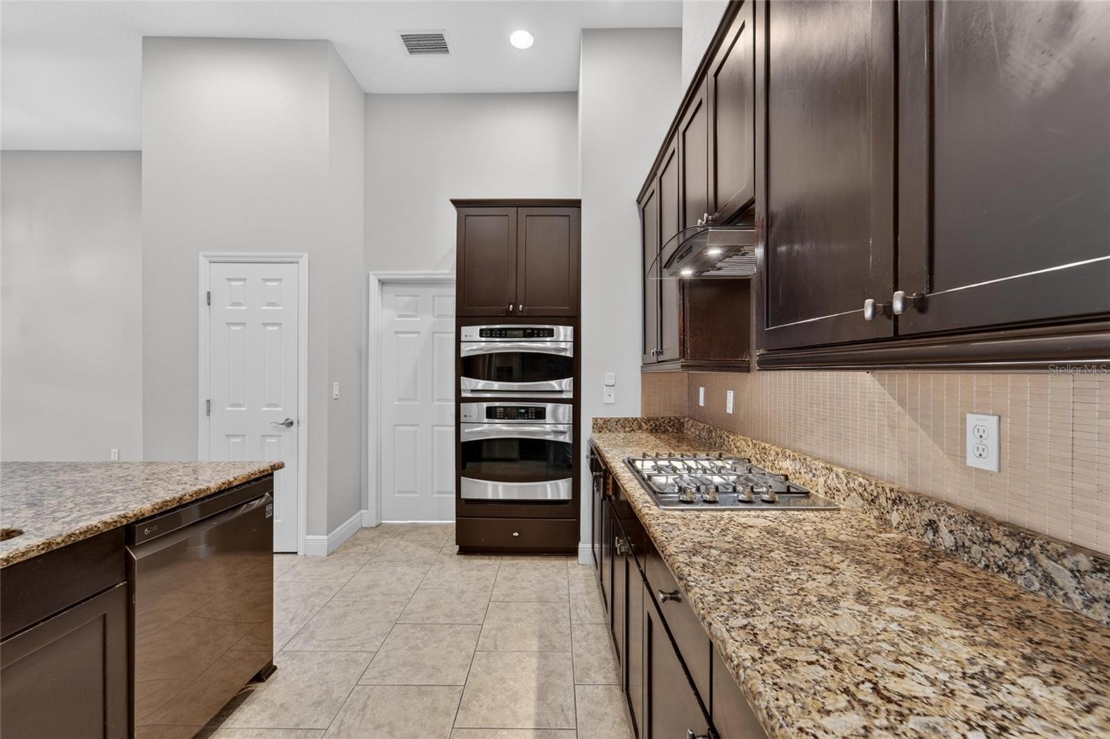 15921 PERSIMMON GROVE DR, LITHIA, FL, 33547