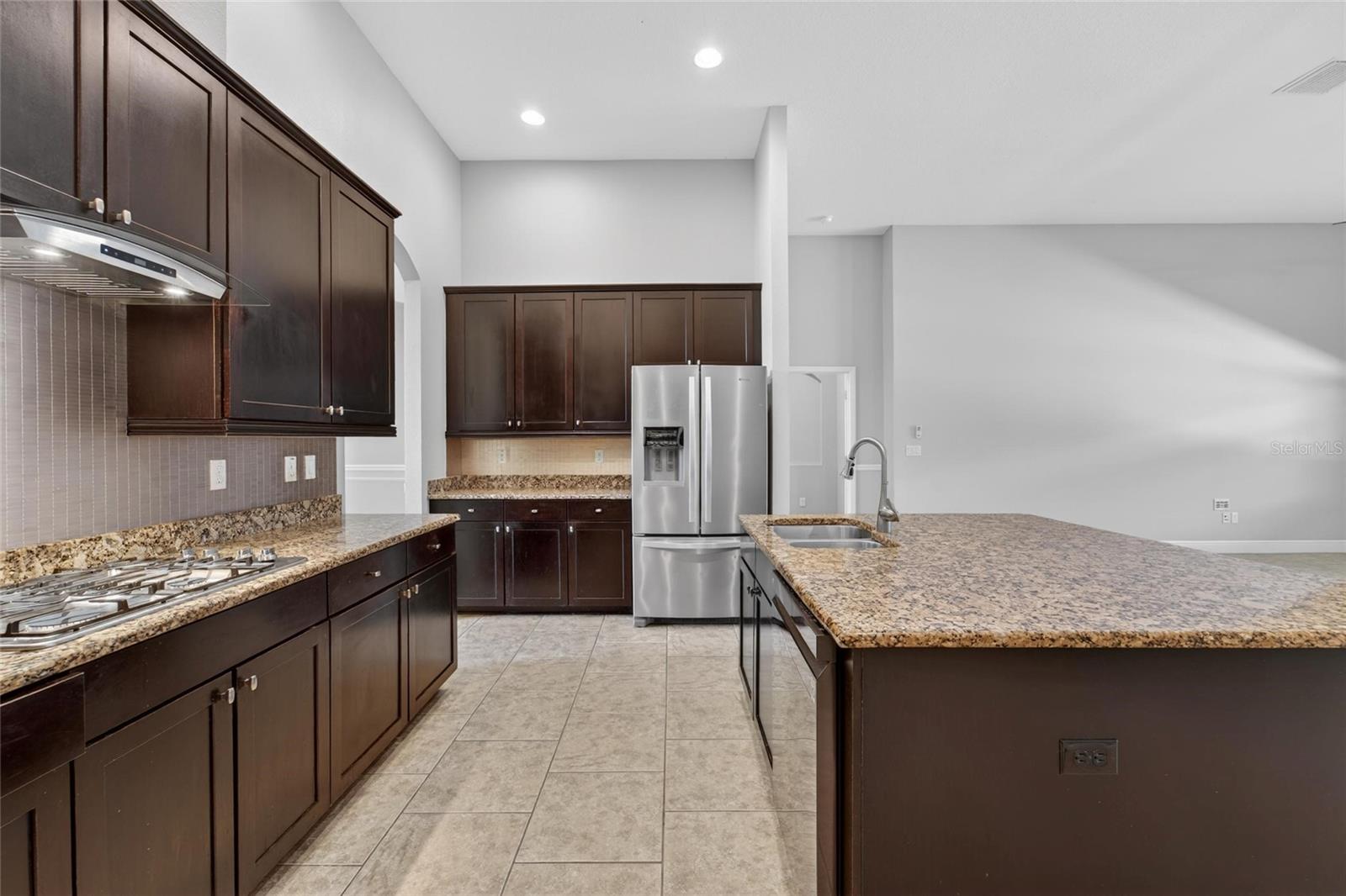 15921 PERSIMMON GROVE DR, LITHIA, FL, 33547