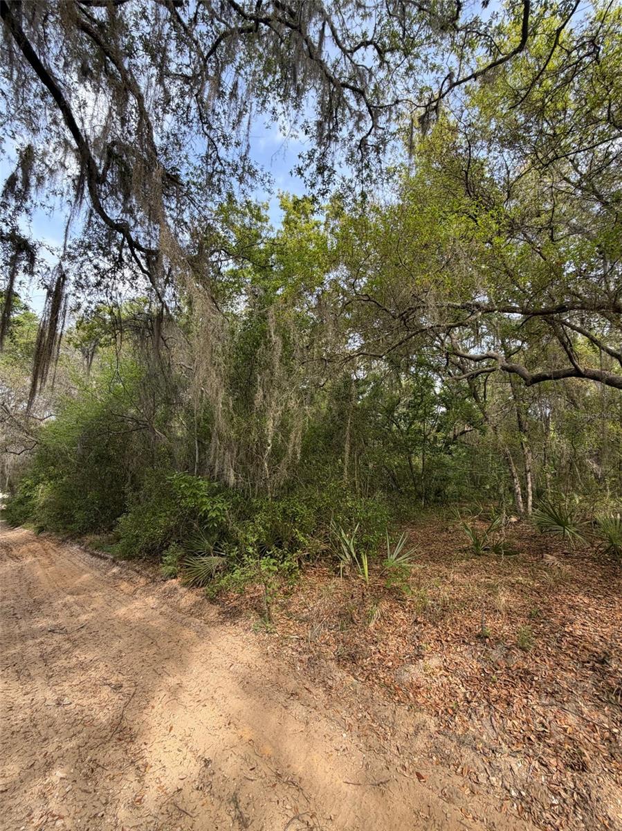 TBD NE 213TH ST, FORT MC COY, FL, 32134