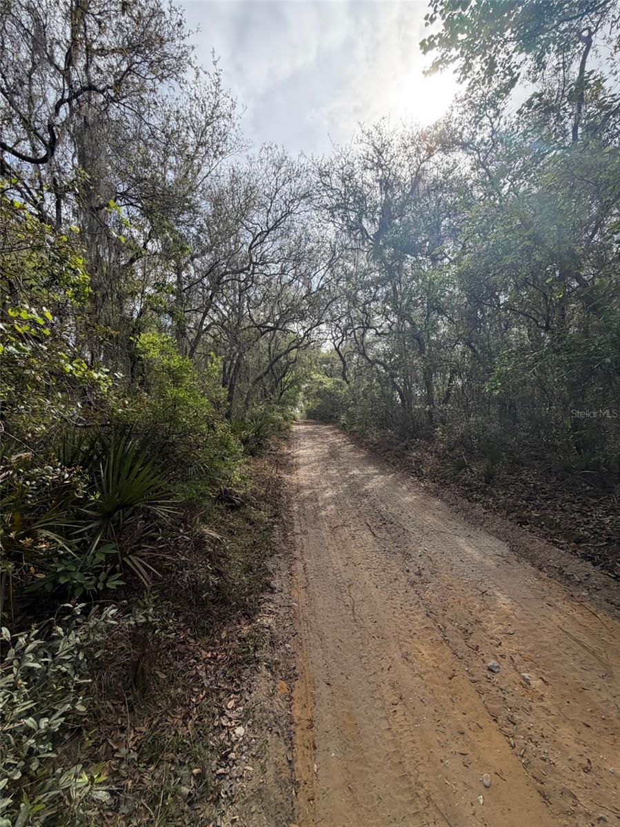 TBD NE 213TH ST, FORT MC COY, FL, 32134