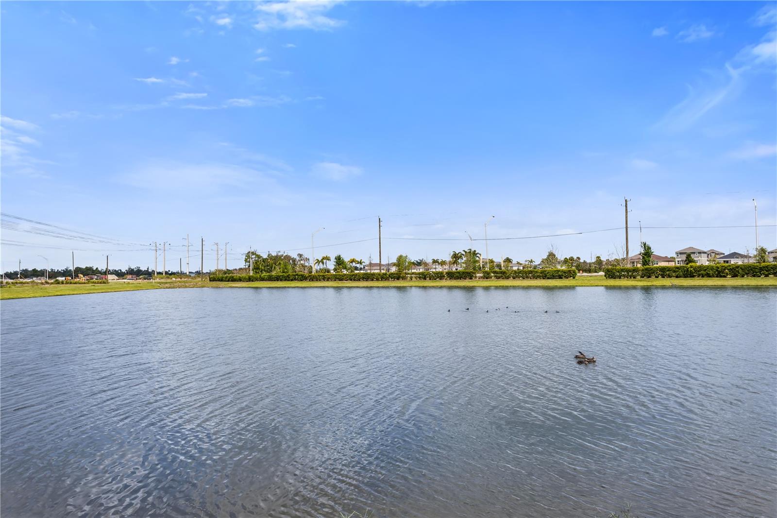 10459 LADYBUG CV, PARRISH, FL, 34219