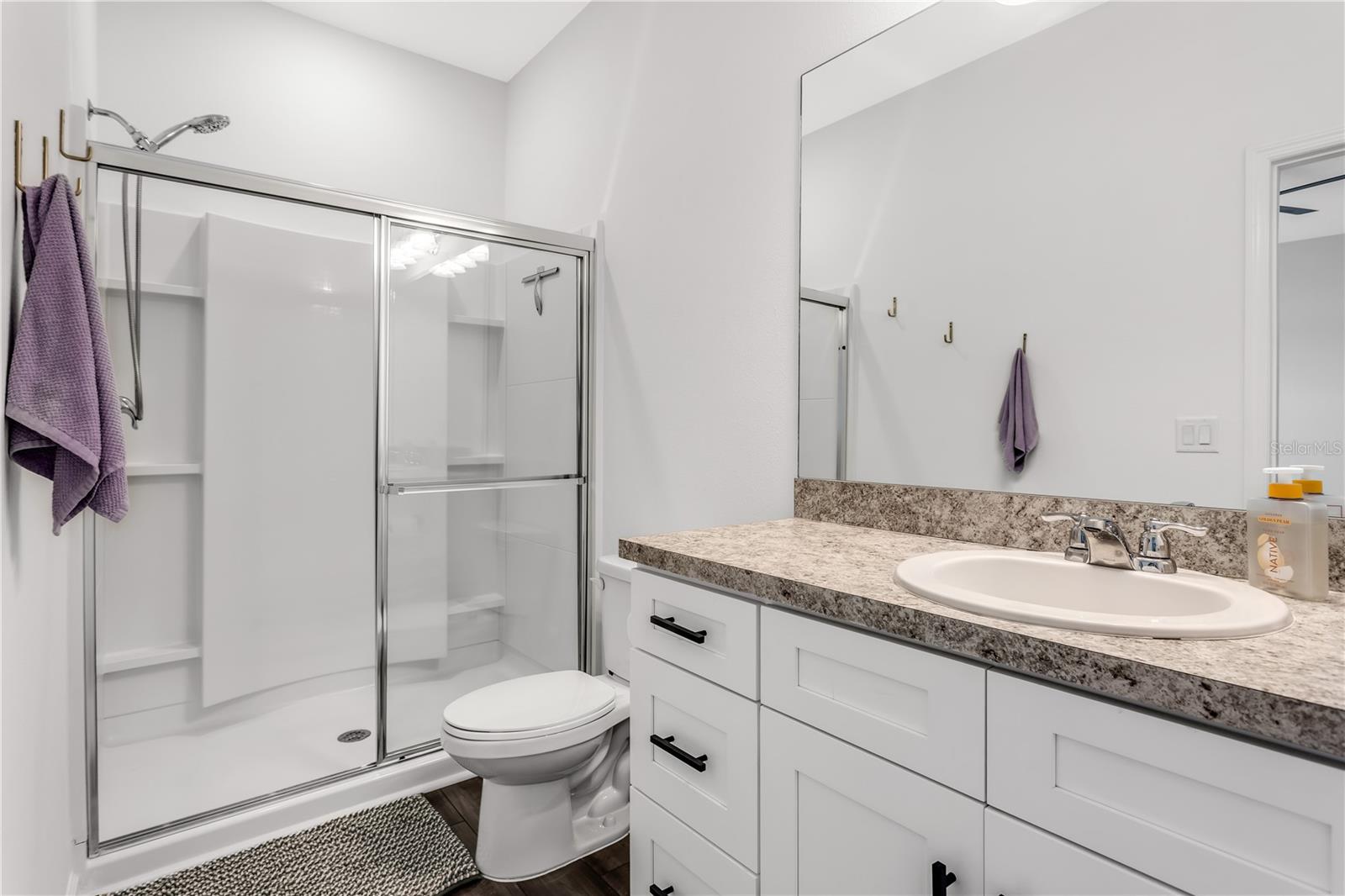 10459 LADYBUG CV, PARRISH, FL, 34219