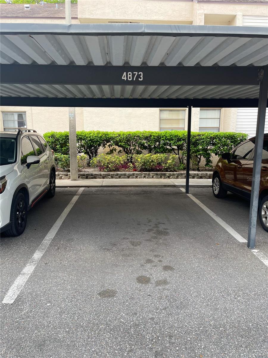 4873 PURITAN CIR #2401, TAMPA, FL, 33617