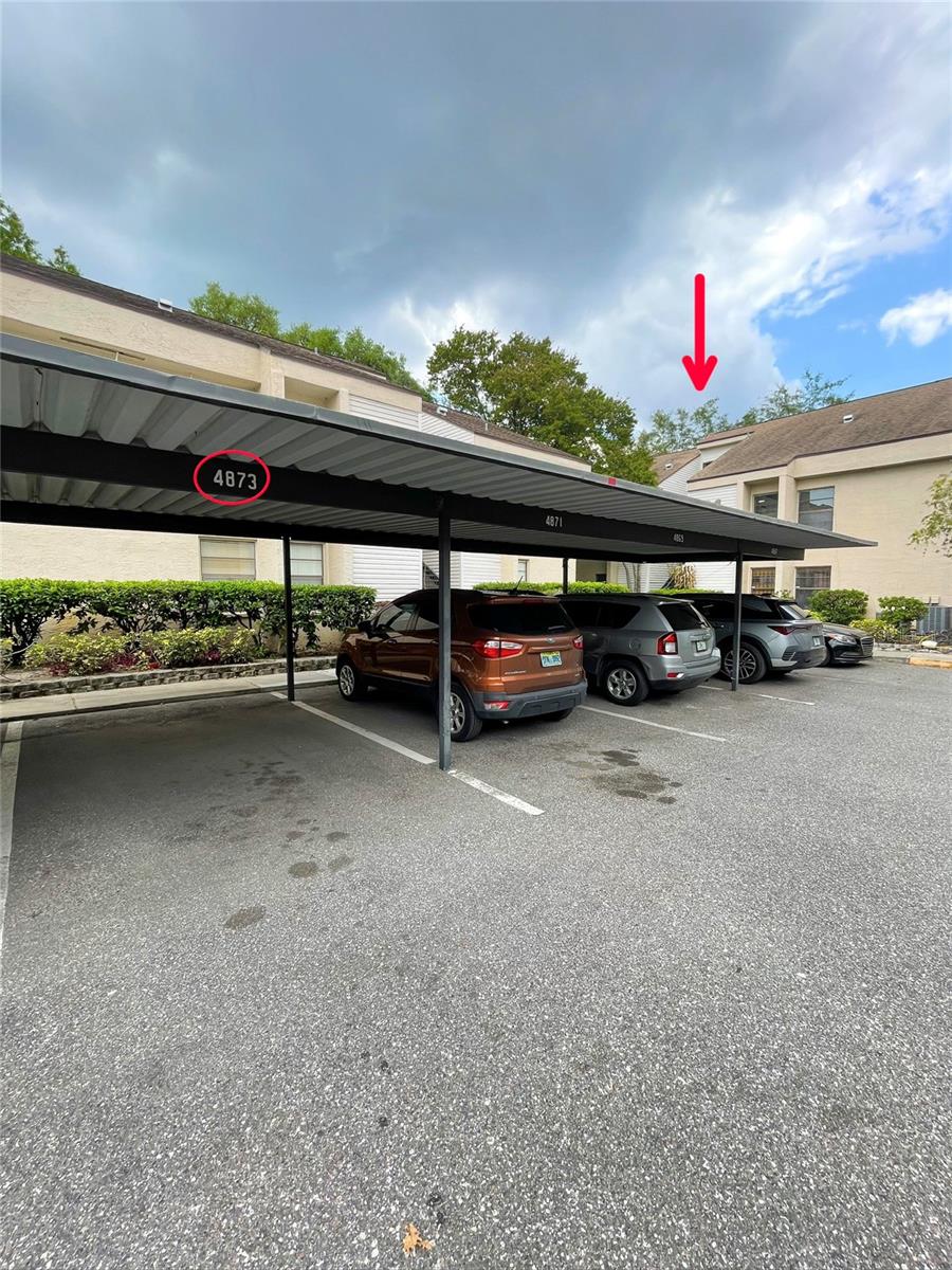 4873 PURITAN CIR #2401, TAMPA, FL, 33617