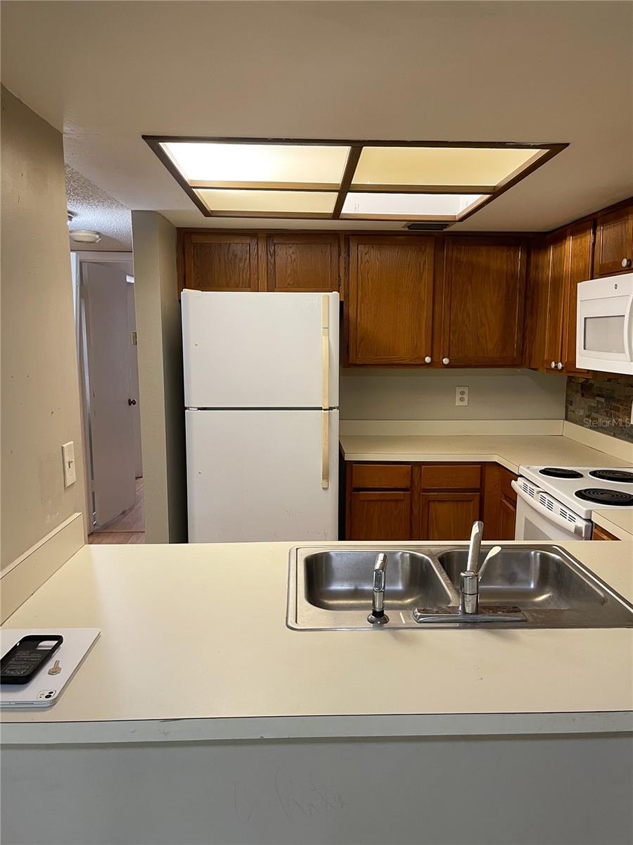 4873 PURITAN CIR #2401, TAMPA, FL, 33617
