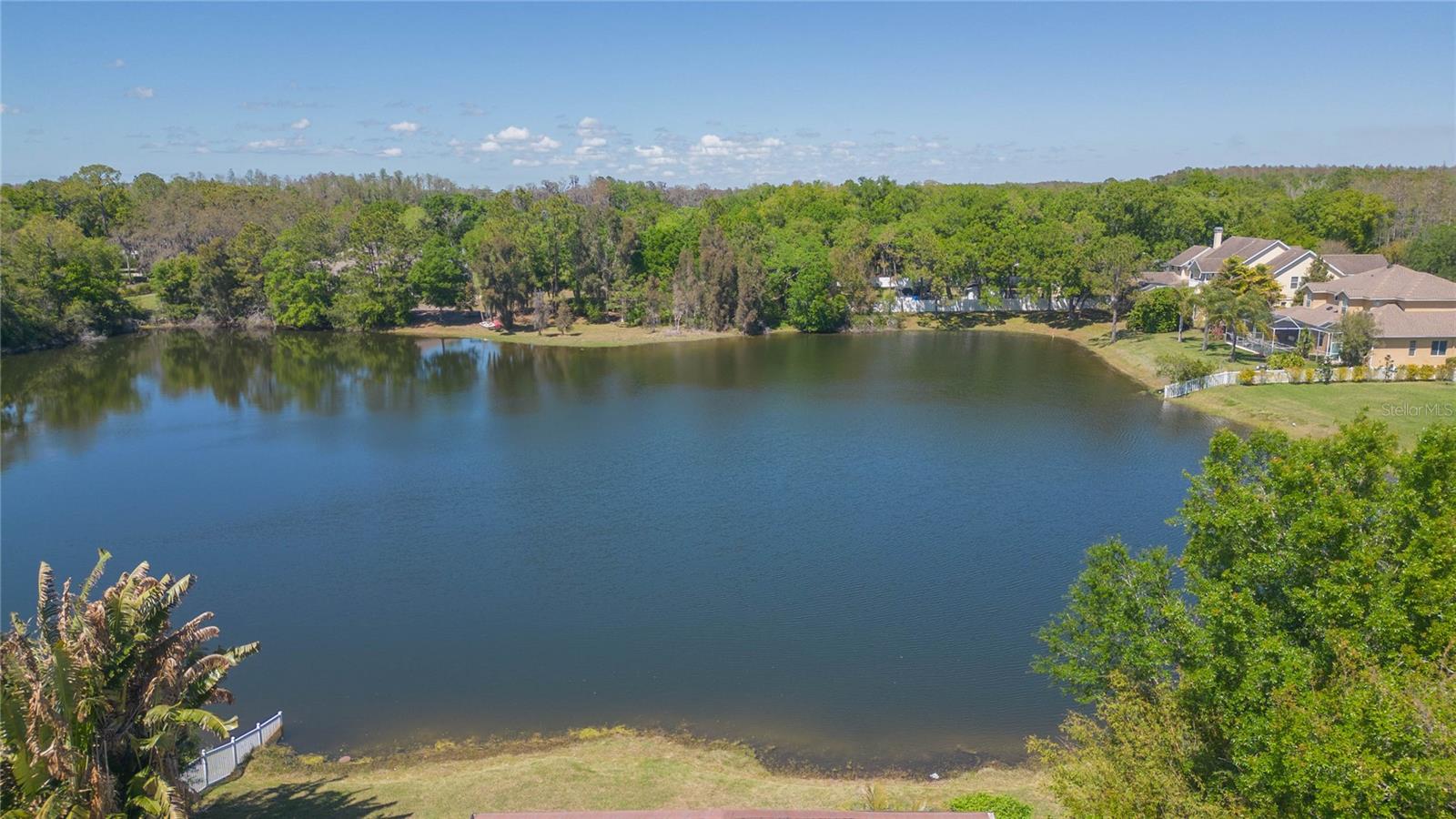 16531 HUTCHISON RD, ODESSA, FL, 33556