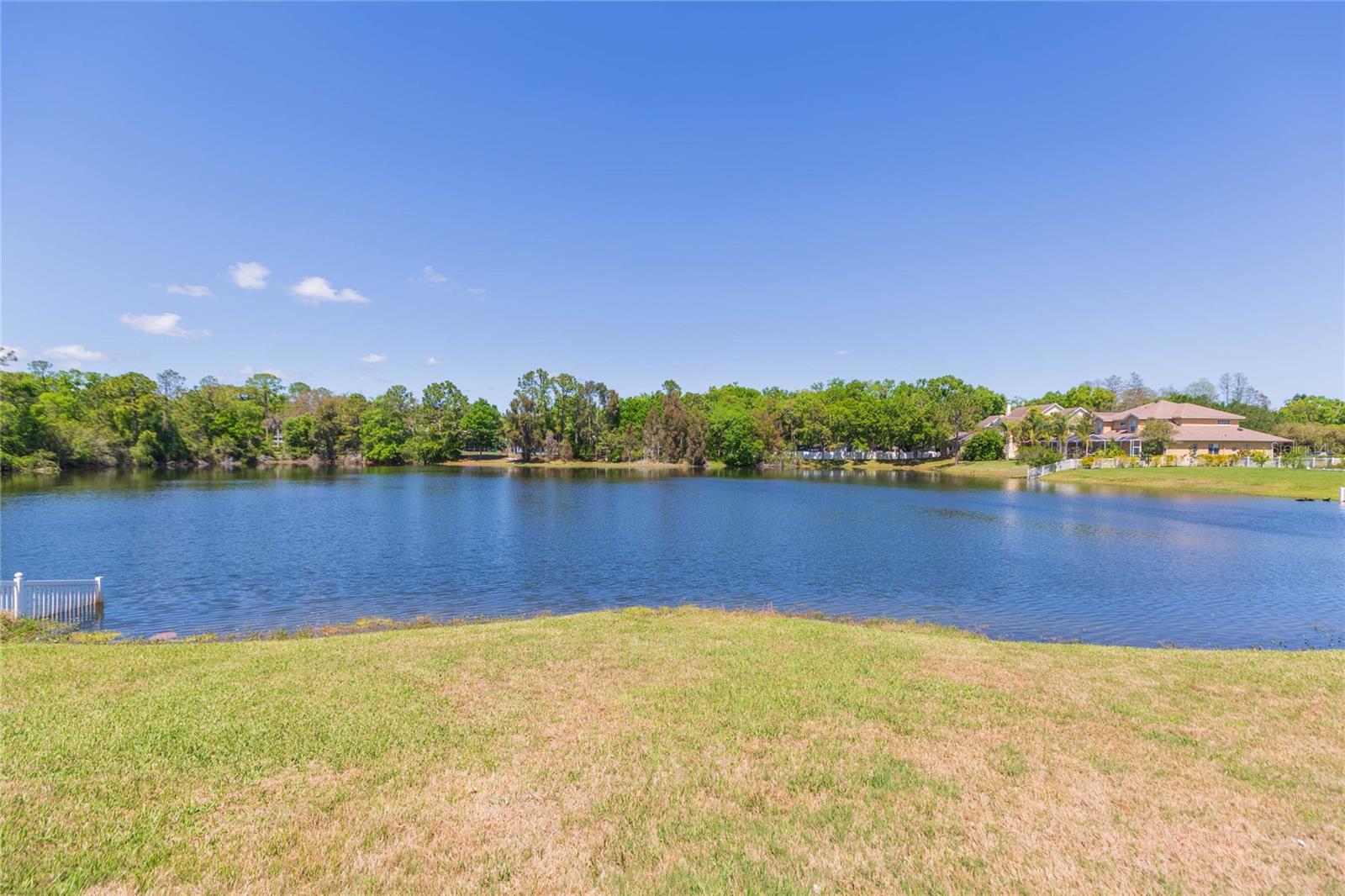 16531 HUTCHISON RD, ODESSA, FL, 33556