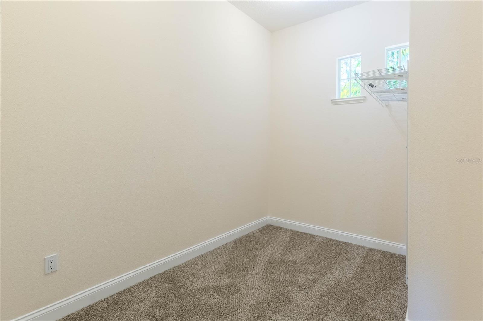 16531 HUTCHISON RD, ODESSA, FL, 33556