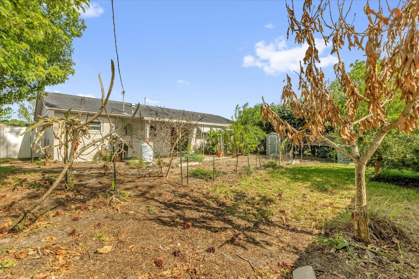 1412 S OXALIS AVE, ORLANDO, FL, 32807