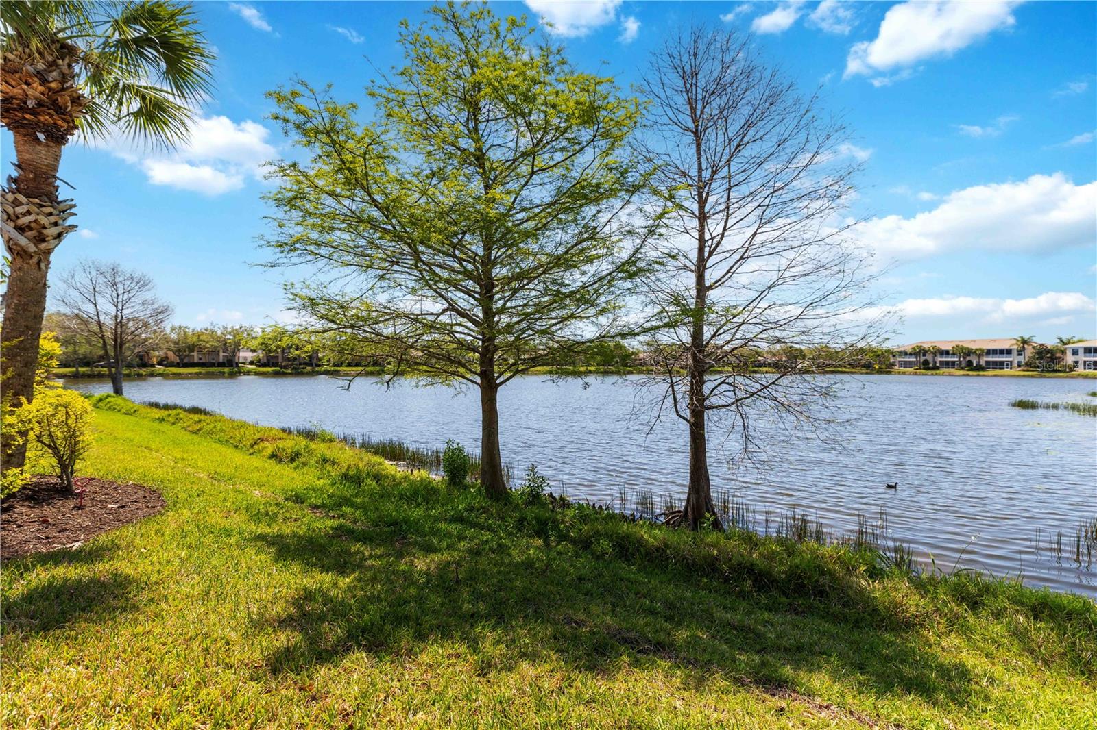 1430 BURGOS DR, SARASOTA, FL, 34238