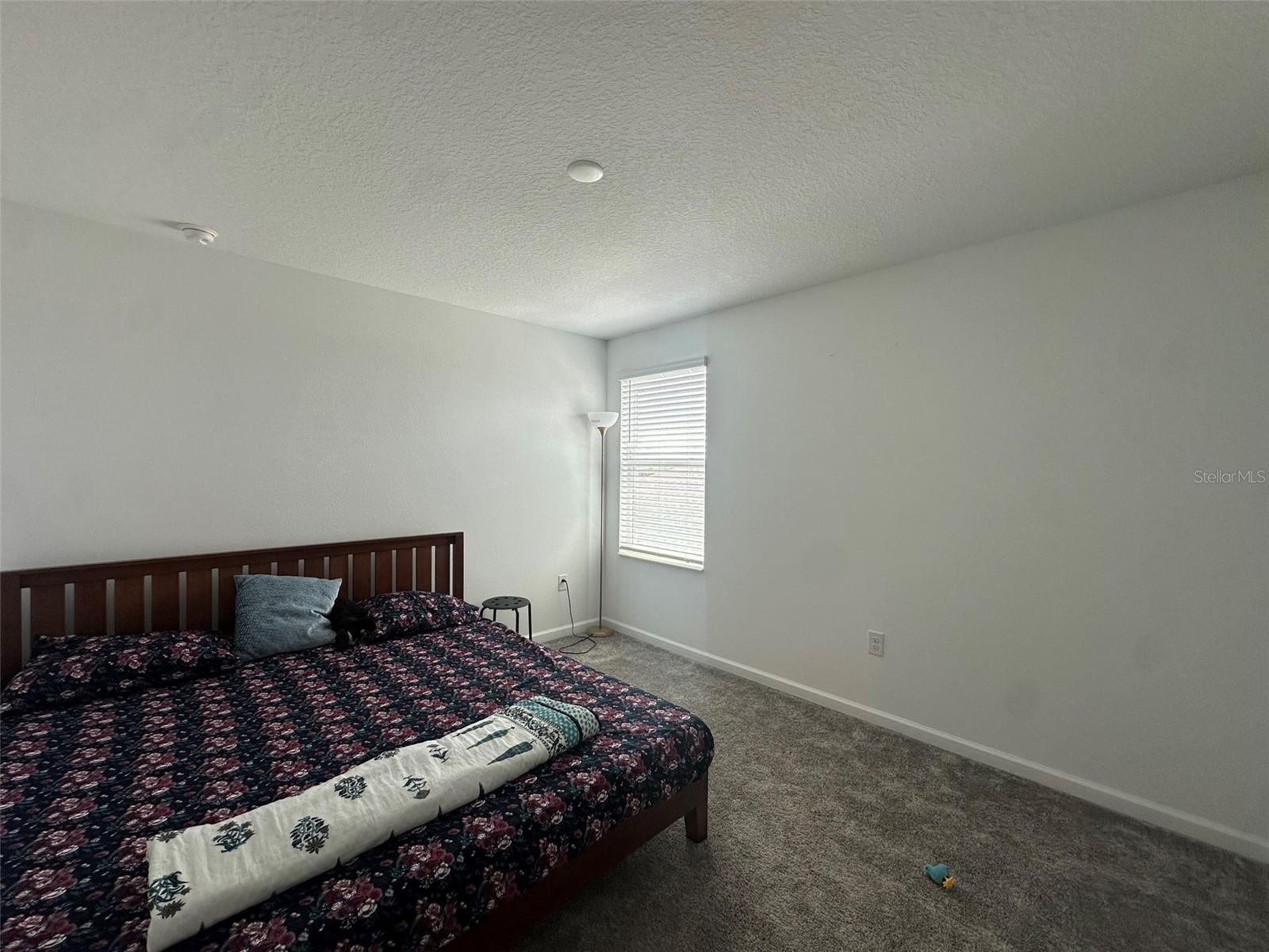 373 PINEYWOODS ST, ST CLOUD, FL, 34772