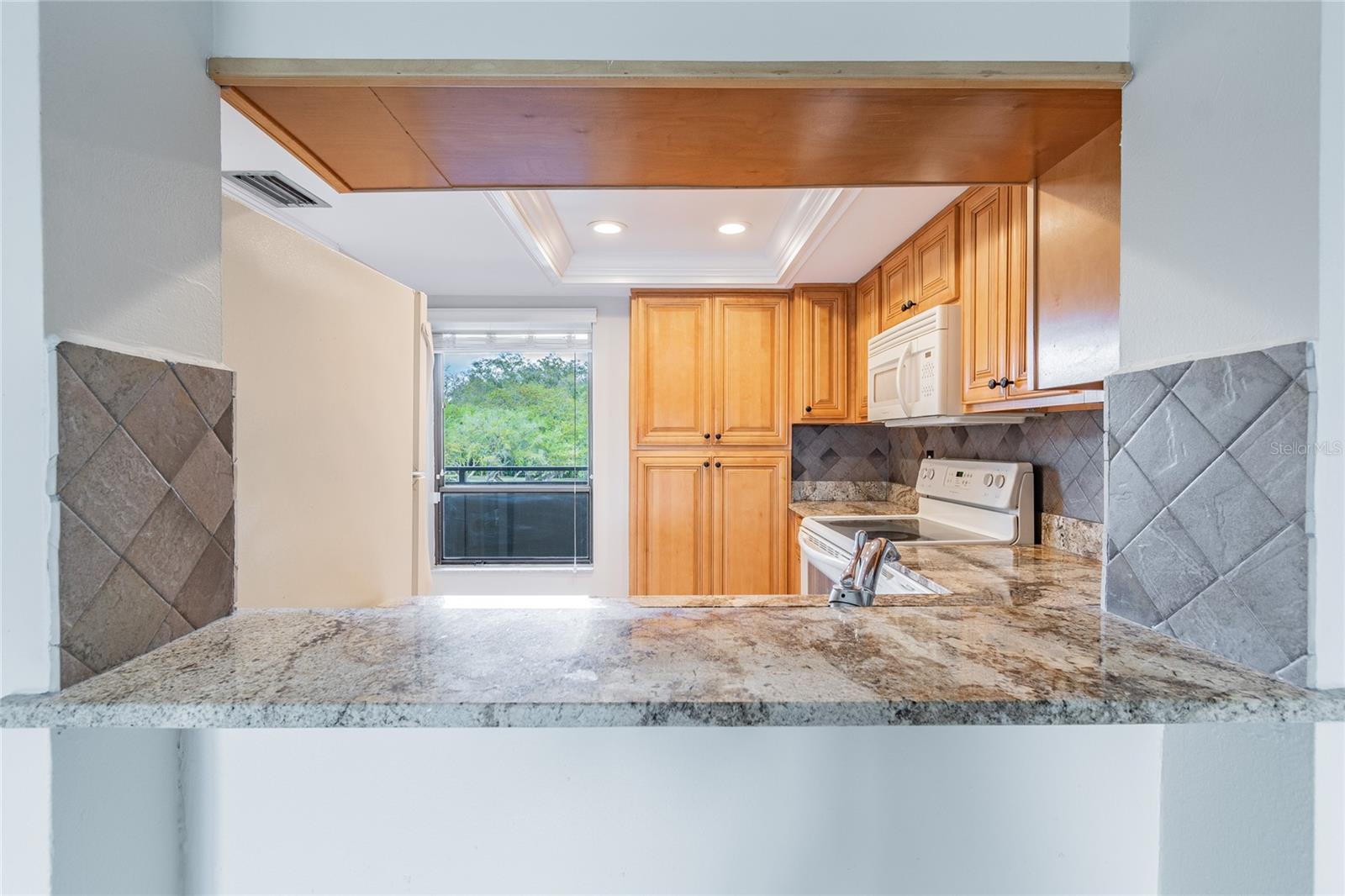 13618 GREENFIELD #305, TAMPA, FL, 33618