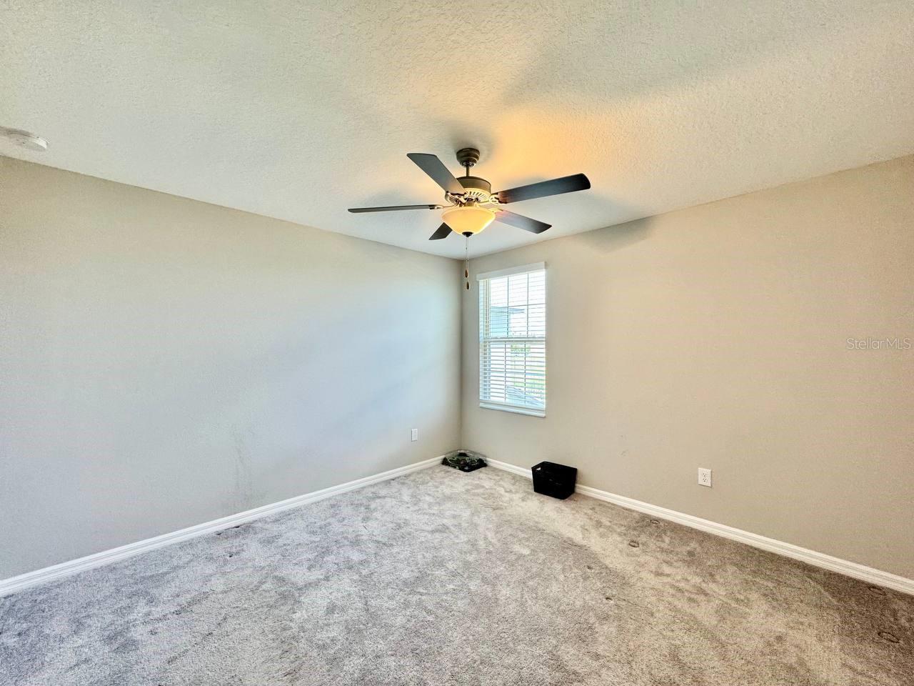 7309 CANTERBURY BELLS CT, TAMPA, FL, 33619