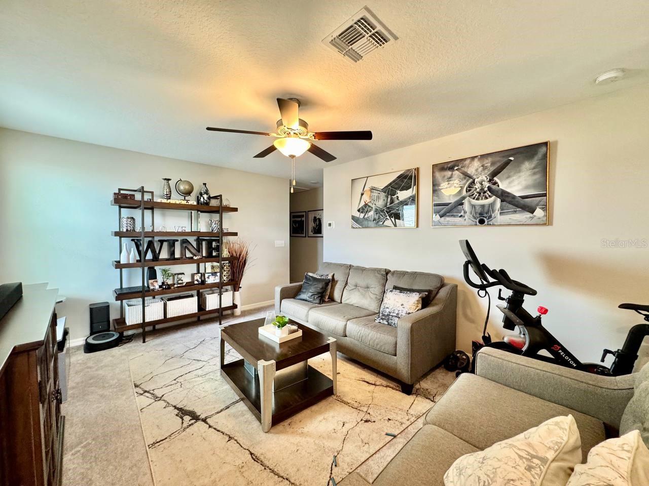 7309 CANTERBURY BELLS CT, TAMPA, FL, 33619