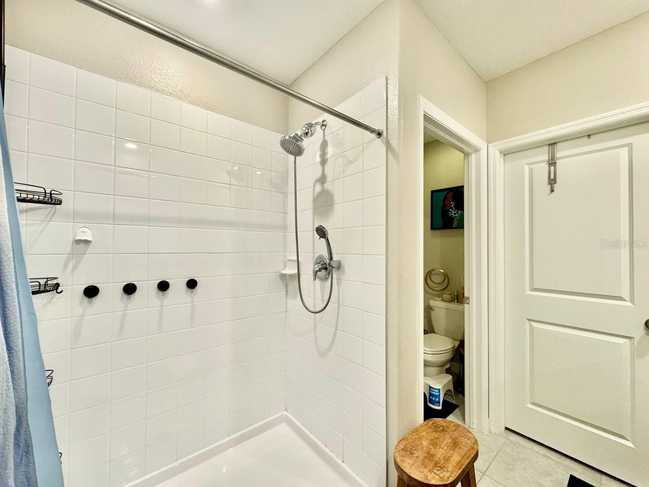 7309 CANTERBURY BELLS CT, TAMPA, FL, 33619