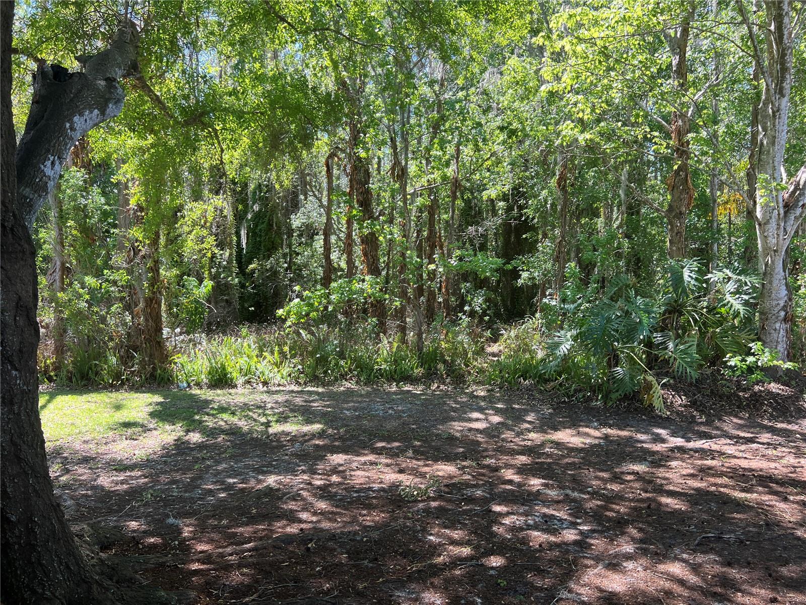 13048 COG HILL WAY, ORLANDO, FL, 32828