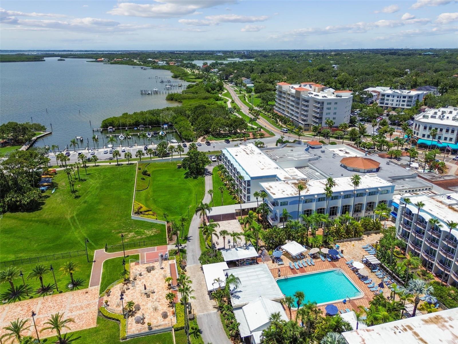 34 HARBOR OAKS CIR, SAFETY HARBOR, FL, 34695