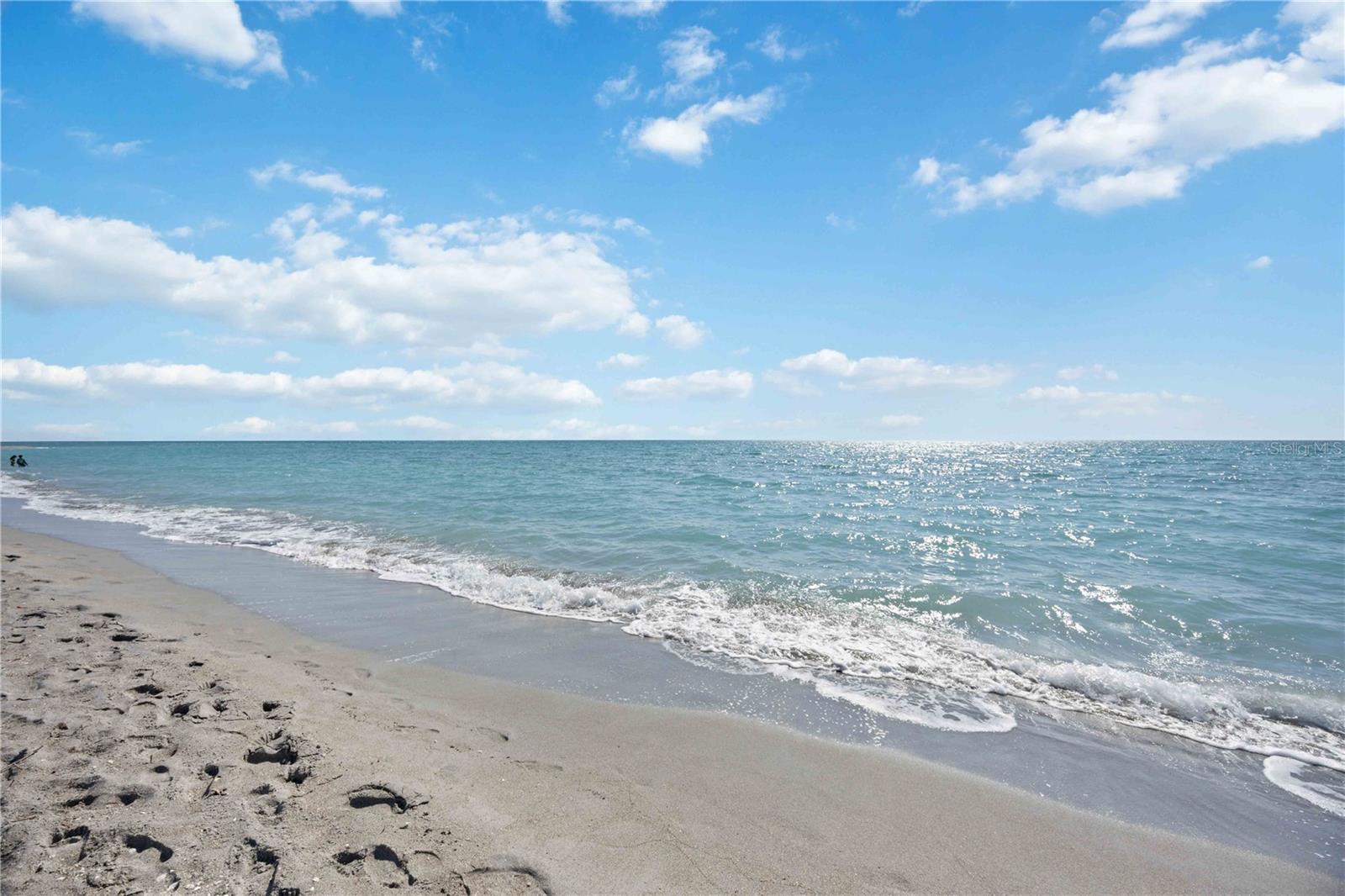 1150 TARPON CENTER DR #208, VENICE, FL, 34285