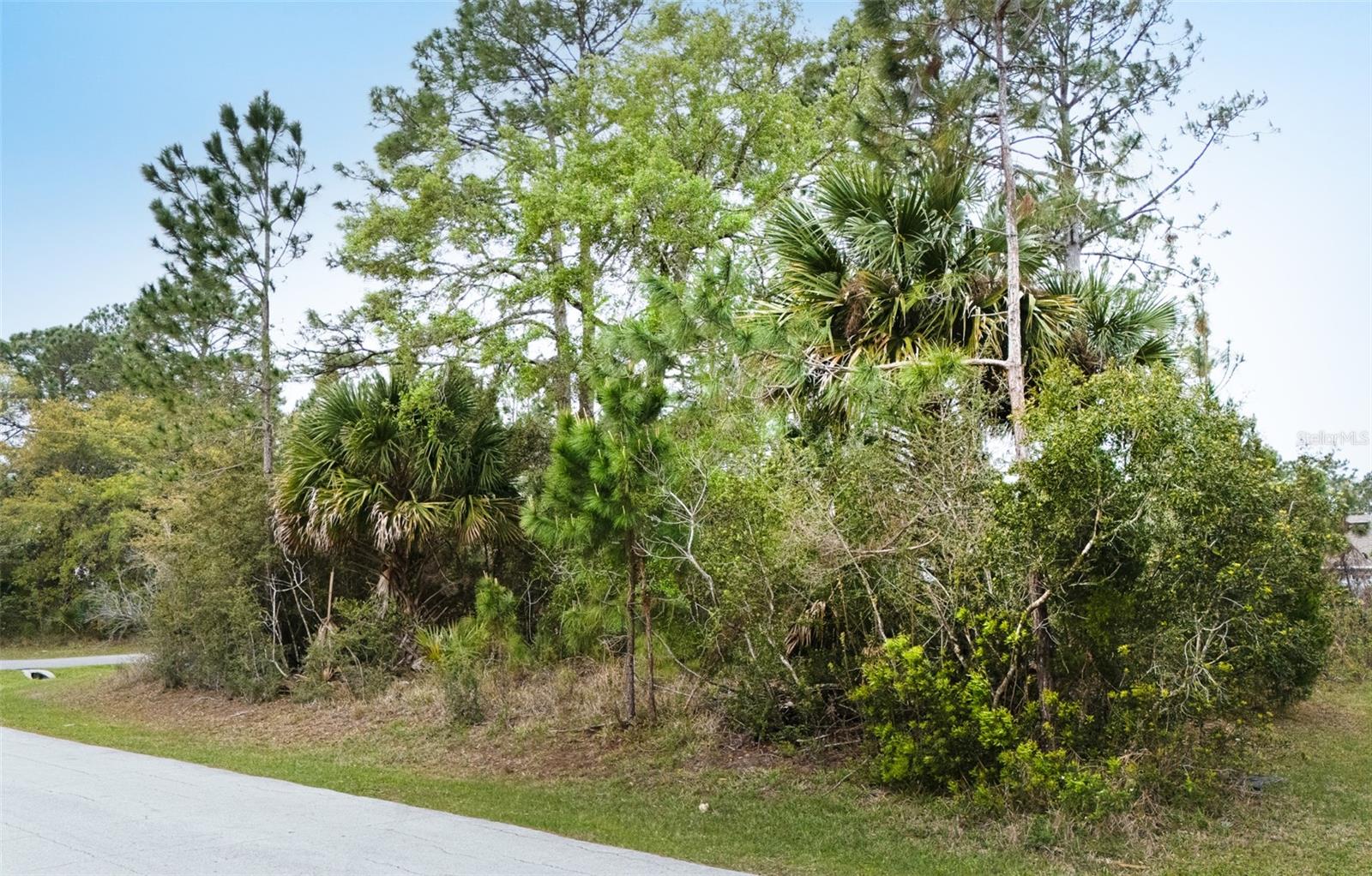 96 PRESIDENTIAL LN, PALM COAST, FL, 32164