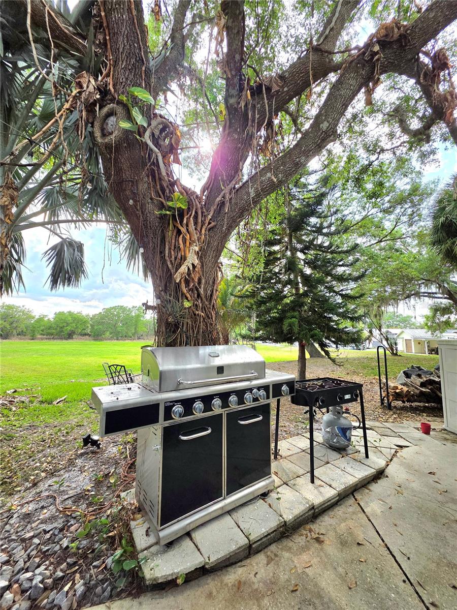 159 HORSESHOE BND, LAKE WALES, FL, 33898