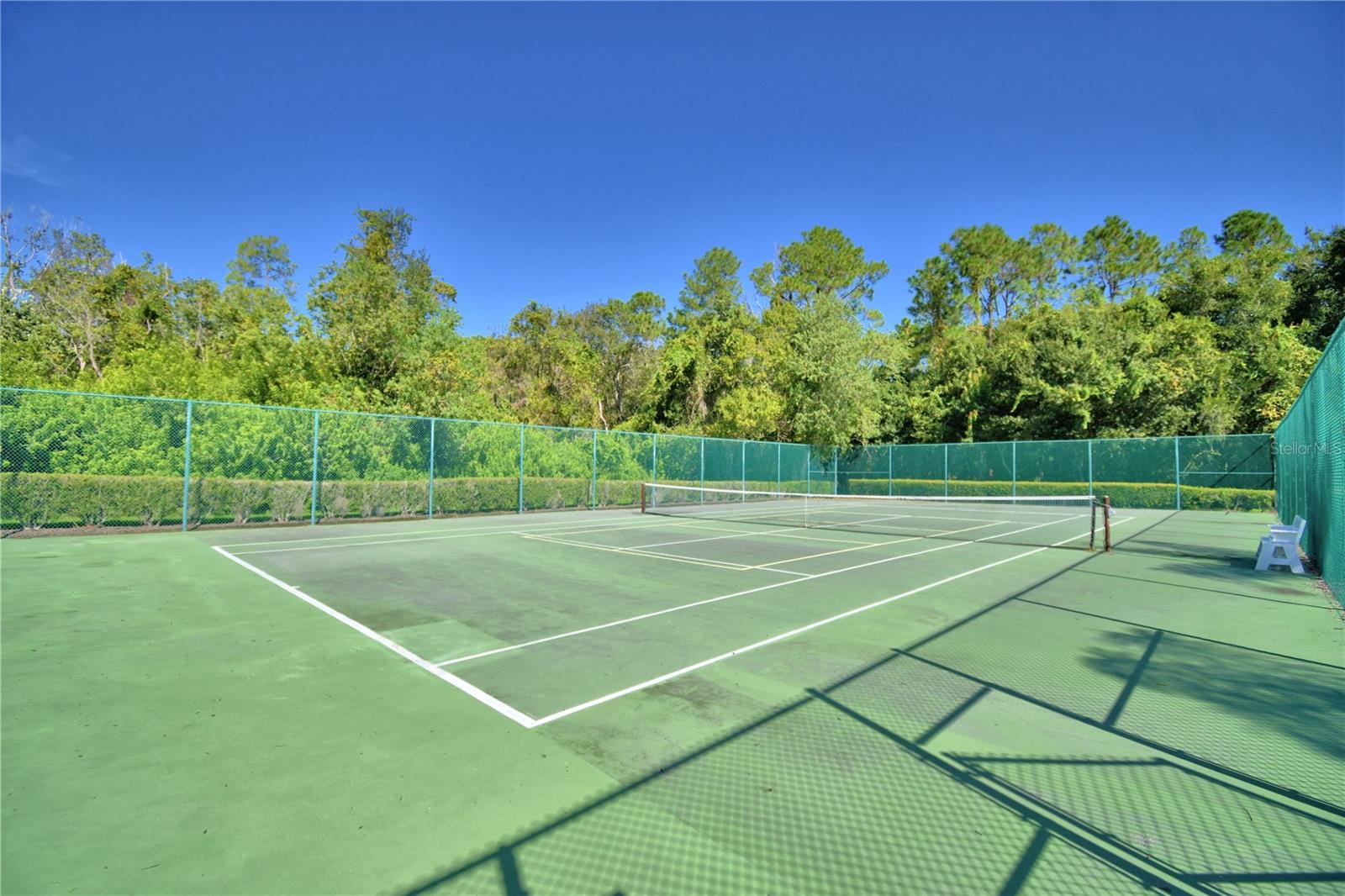 1507 VIENNA SQUARE DR, WINTER HAVEN, FL, 33884