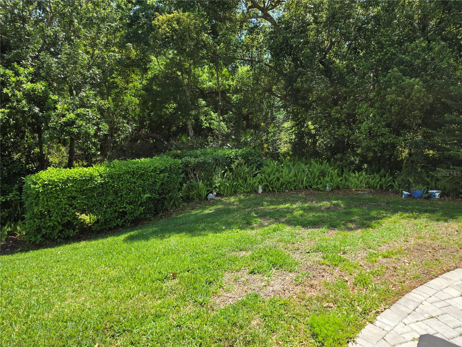 1196 ROYAL BLVD, PALM HARBOR, FL, 34684
