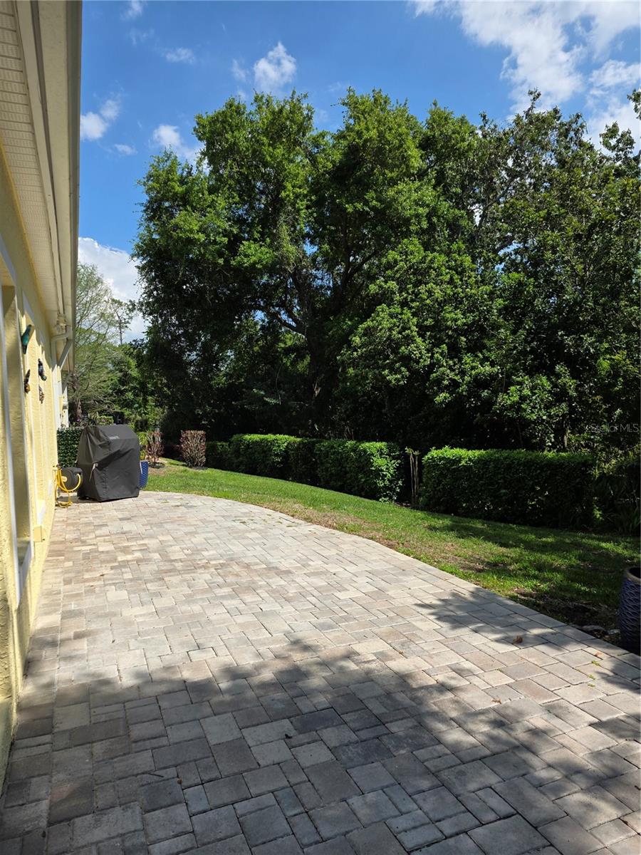 1196 ROYAL BLVD, PALM HARBOR, FL, 34684