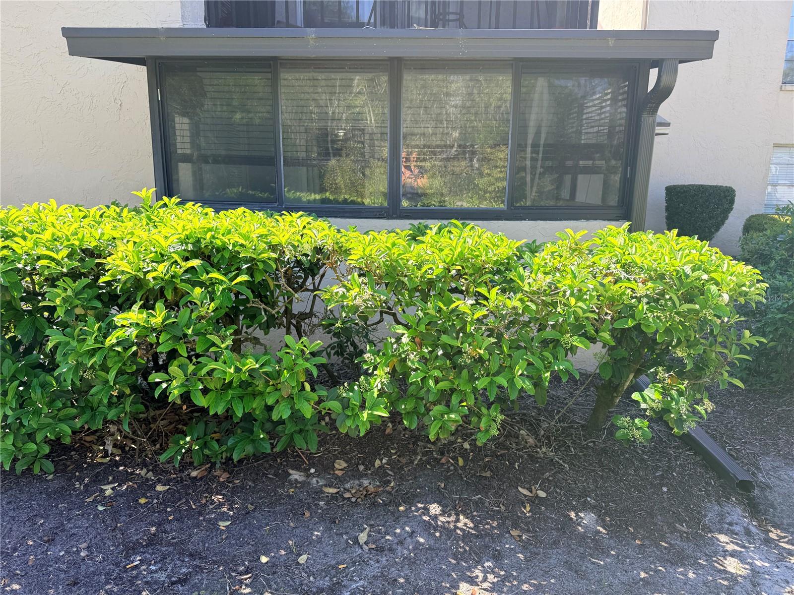 100 E KENTUCKY AVE #A6, DELAND, FL, 32724
