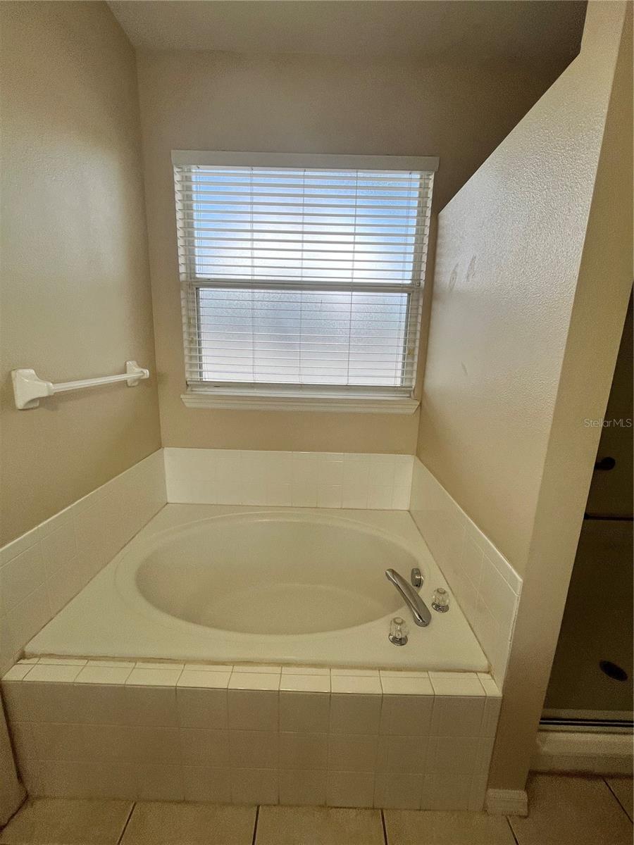 919 MAGNOLIA BLOSSOM CT, APOPKA, FL, 32712