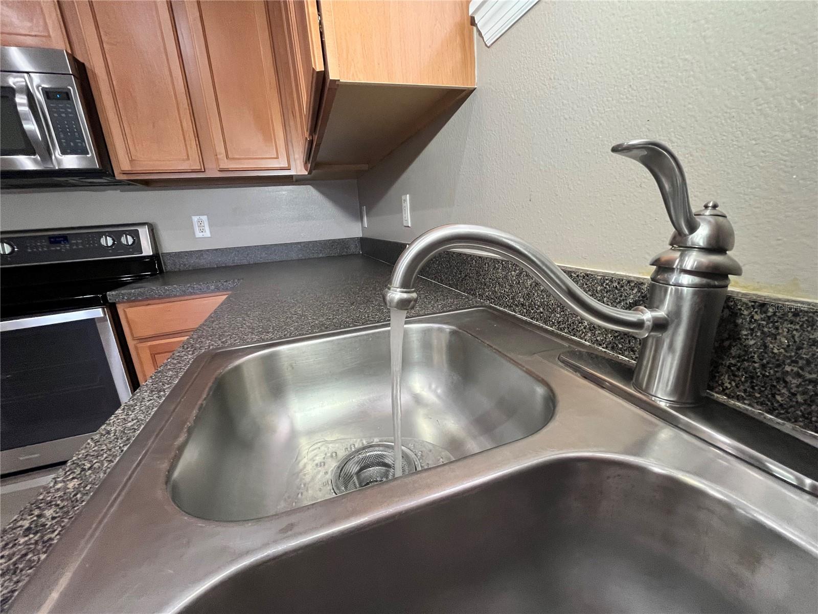 919 MAGNOLIA BLOSSOM CT, APOPKA, FL, 32712