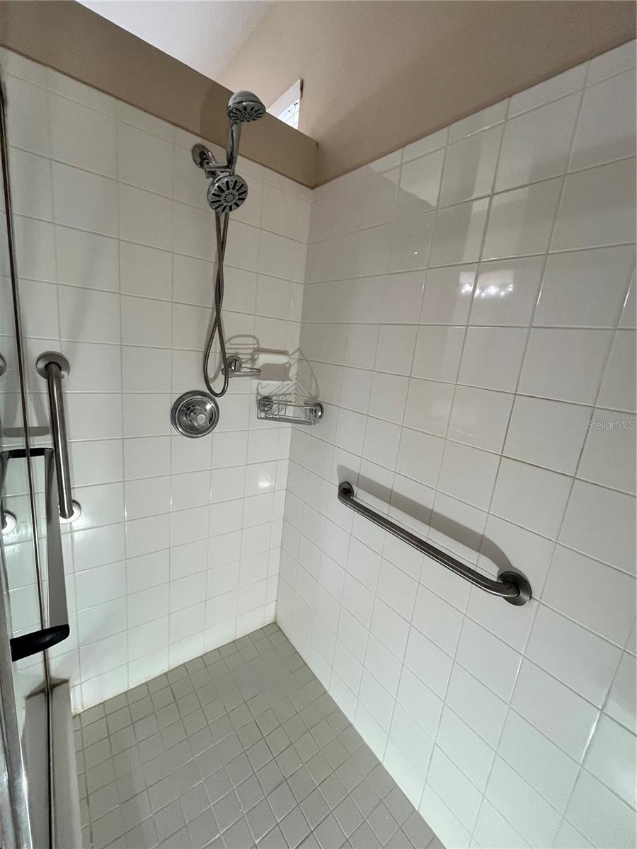 919 MAGNOLIA BLOSSOM CT, APOPKA, FL, 32712