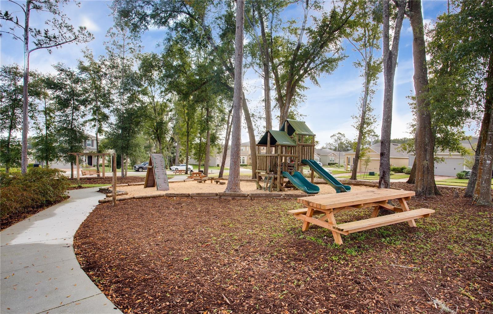 2280 MOUNTAIN PINE ST, OCOEE, FL, 34761